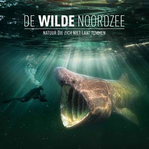 de_wilde_noordzee_tumb_1